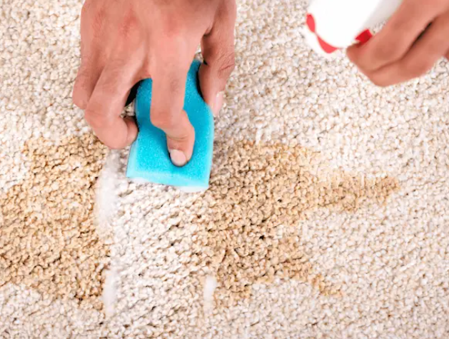 CARPET CLEANING BEFORE